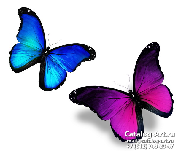  Butterflies 123